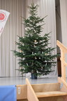 DSCF6008