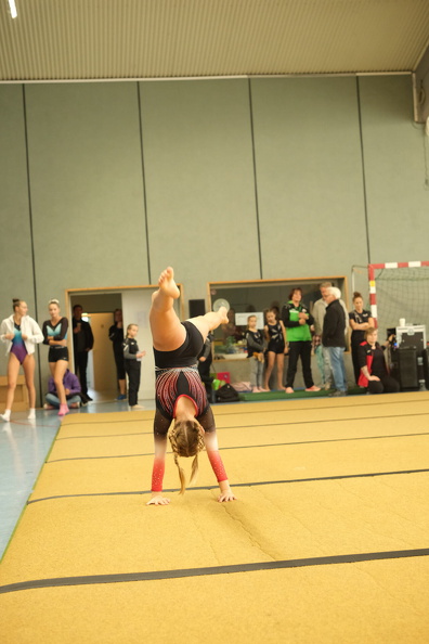 DSCF9739.JPG