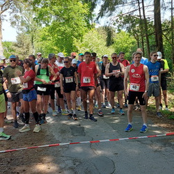 Hoerster Waldlauf 2025